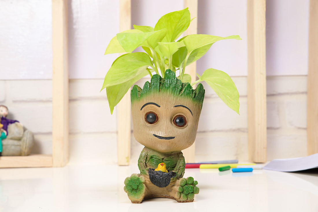 Send Golden Money Plant In Happy Groot