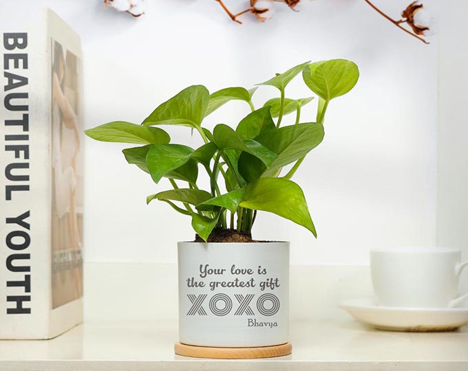 Personalized Plants