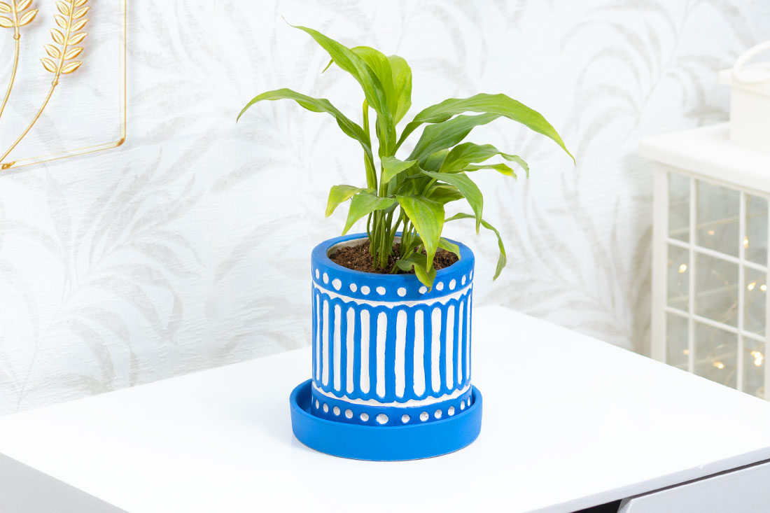 Peaceful Peace Lily In Blue Ceramic Vase