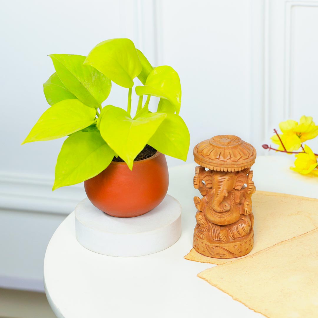 Antique Ganesha And Money Plant In Terracotta Pot