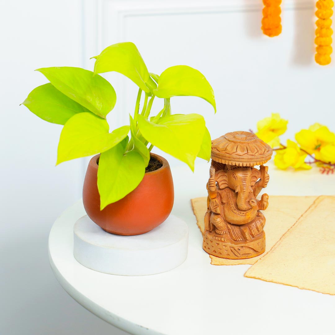 Antique Ganesha And Money Plant In Terracotta Pot