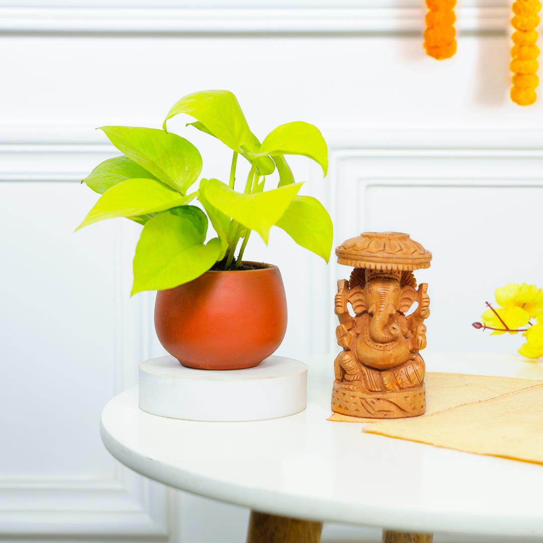 Antique Ganesha And Money Plant In Terracotta Pot