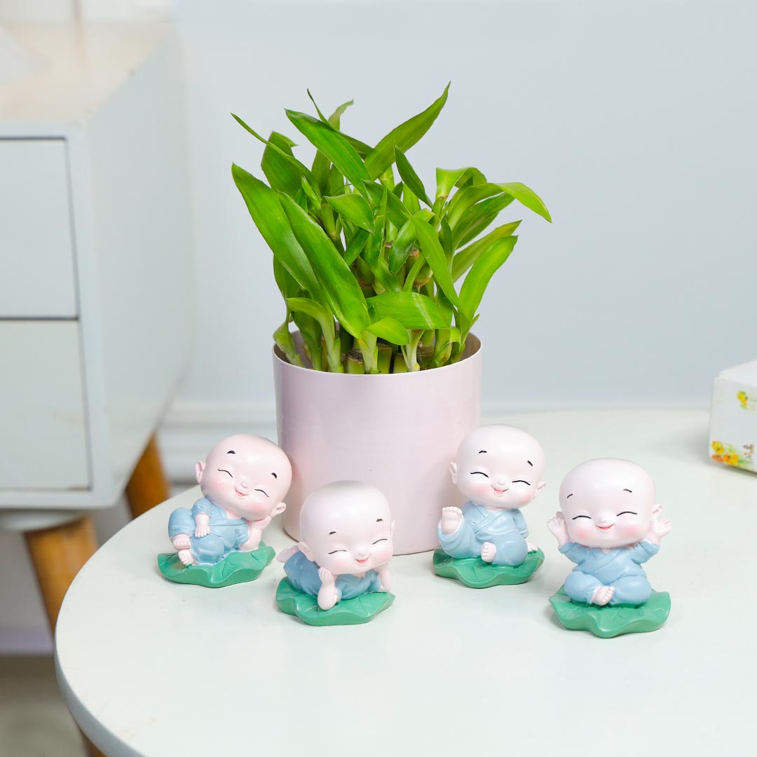 Charmed Monk With Lucky Bamboo Buy Online