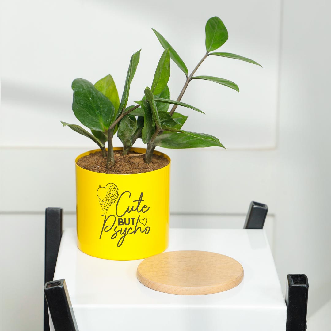 Cute Psycho - ZZ Plant in Yellow Pot