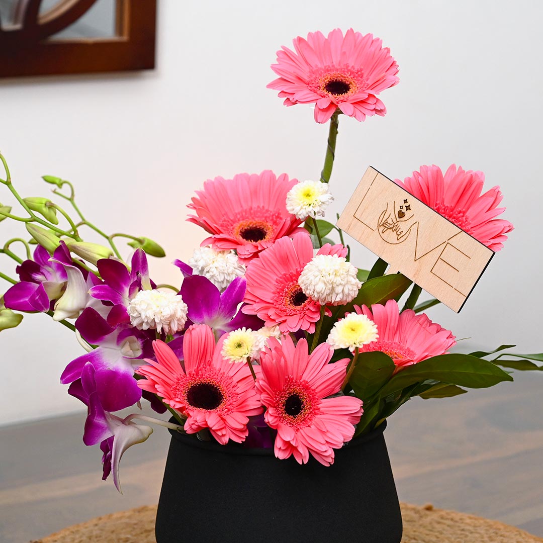 Daisy-Orchid-Gerbera Combo Arrangement