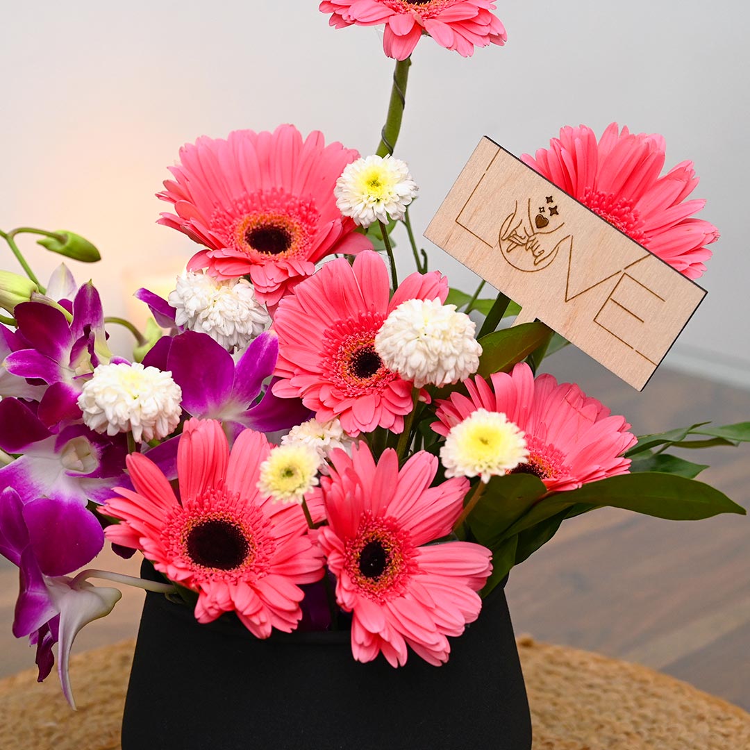 Daisy-Orchid-Gerbera Combo Arrangement