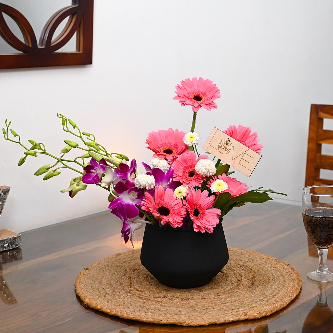 Daisy-Orchid-Gerbera Combo Arrangement