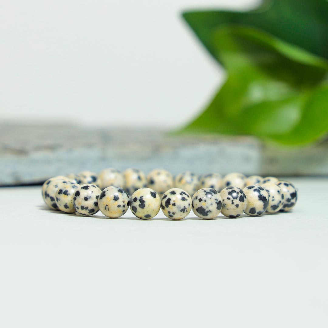 Dalmation Jasper Bracelets