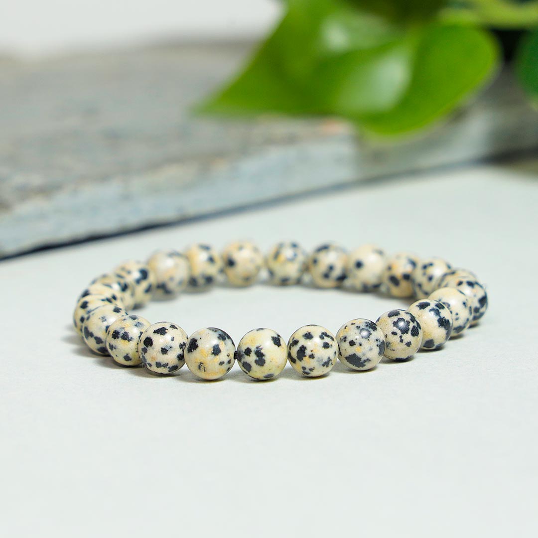 Dalmation Jasper Bracelets