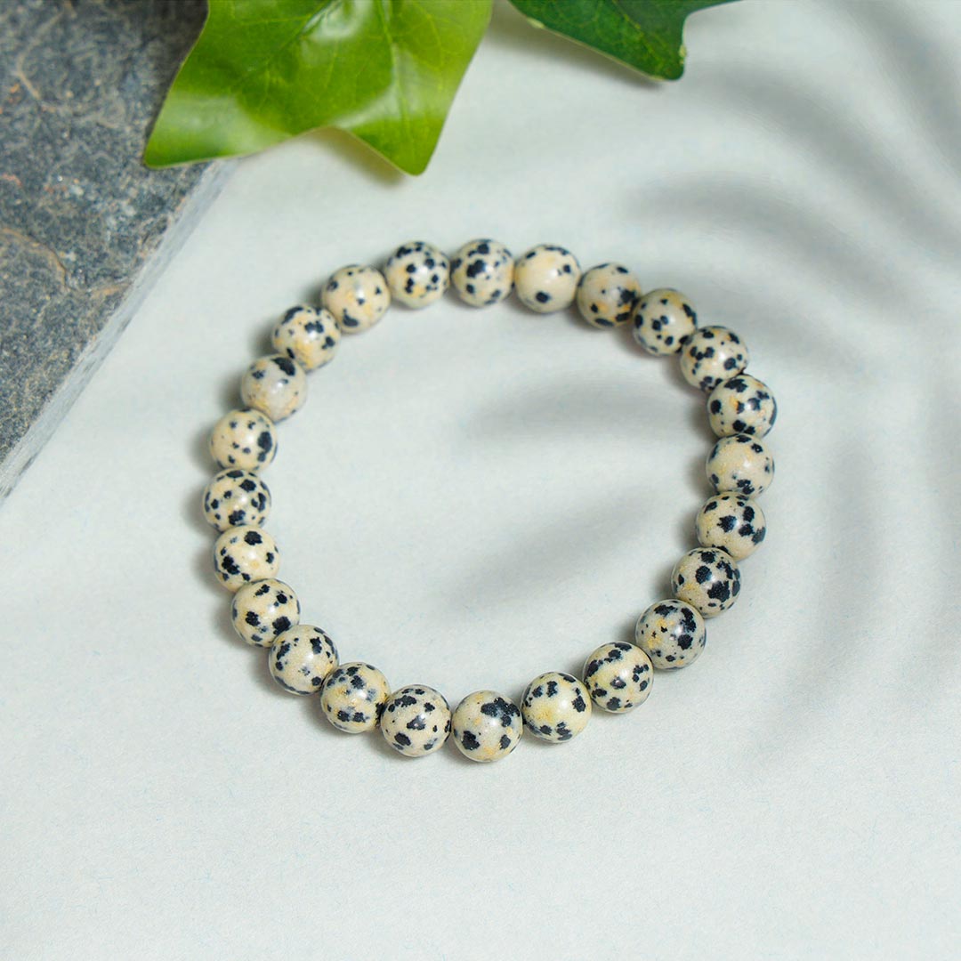 Dalmation Jasper Bracelets