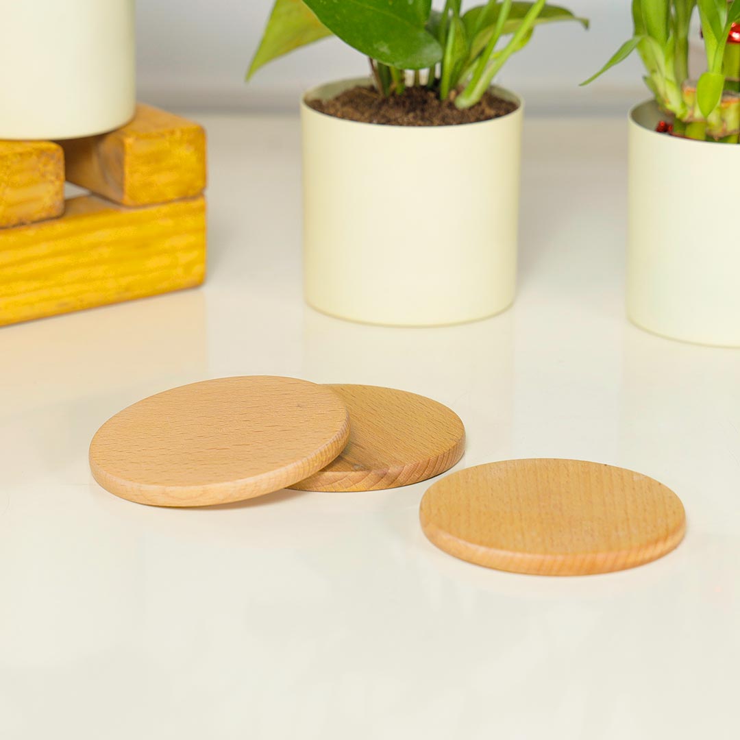 Delightful Combo Of 3 Plant In Ivory Planter