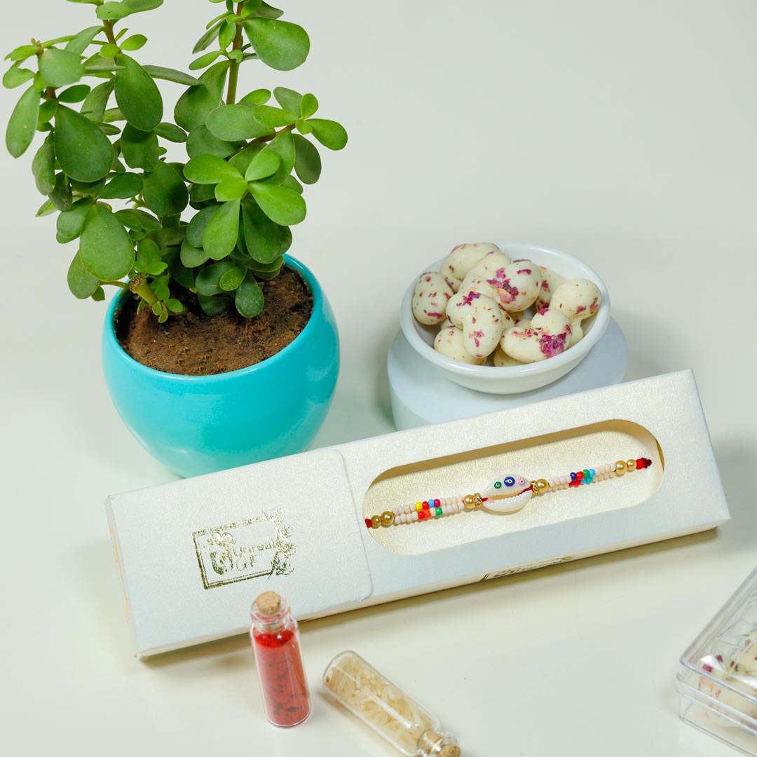 Designer Shankh Rakhi With Jade Plant