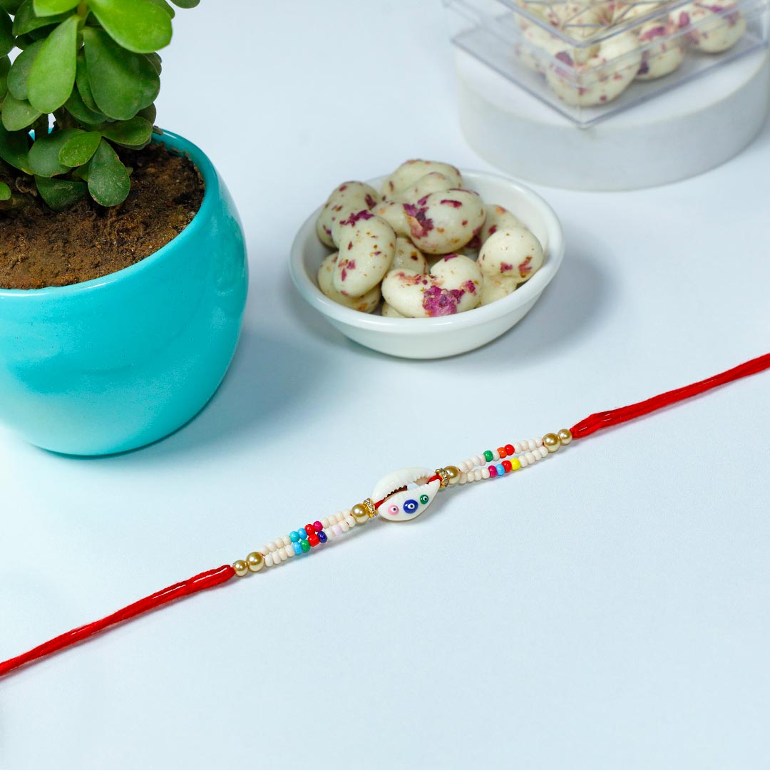 Designer Shankh Rakhi With Jade Plant