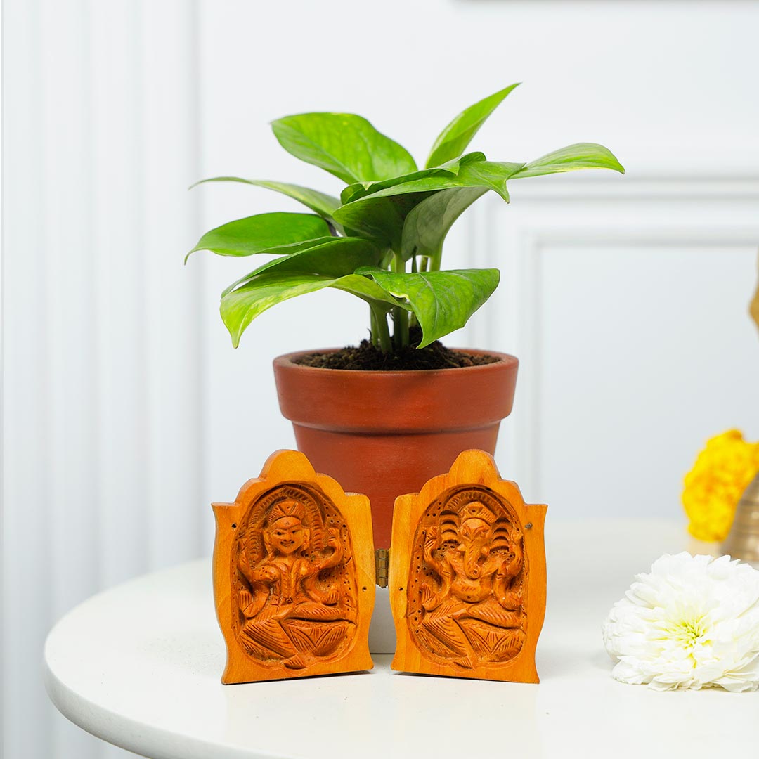 Divine Prosperity God Idol And Money Plant