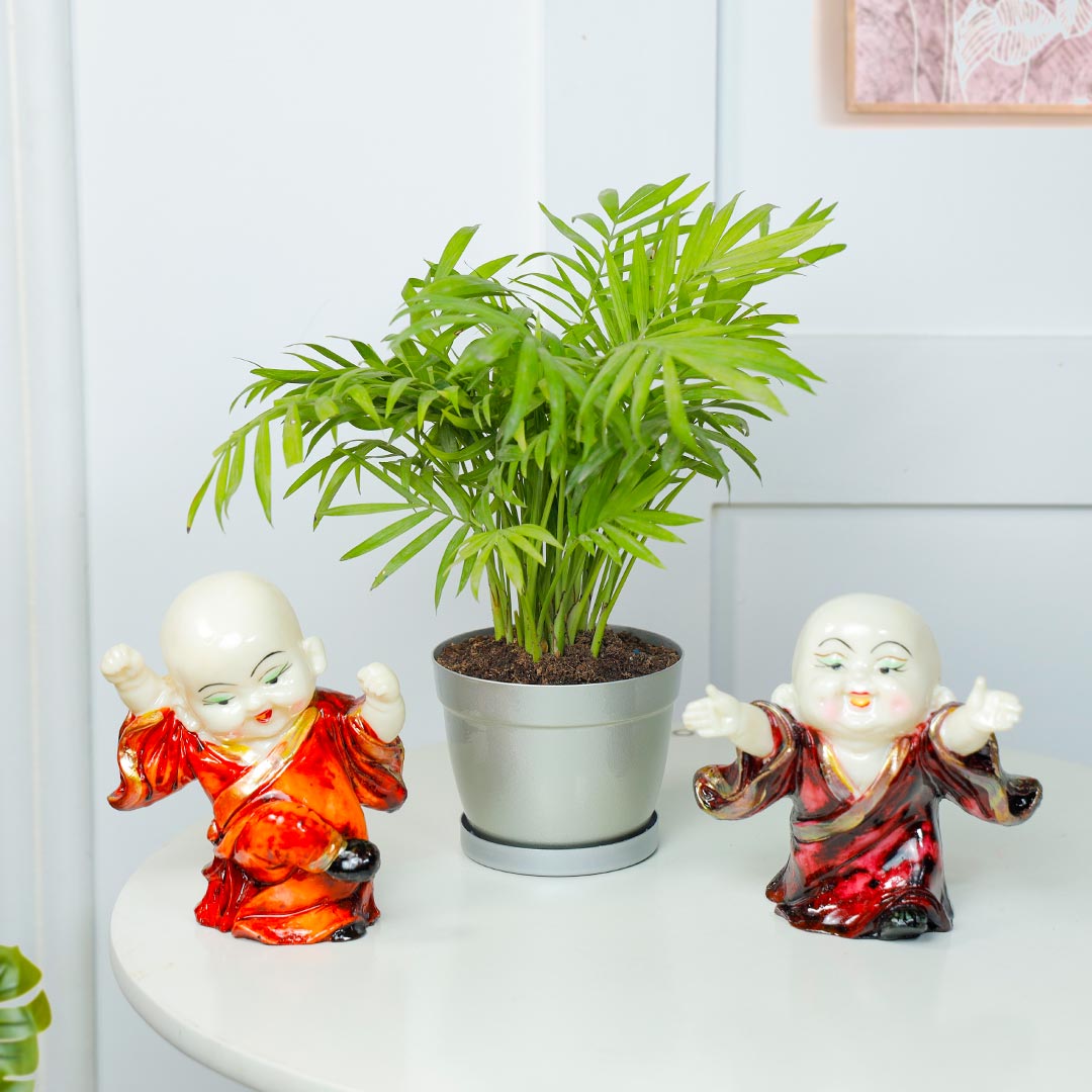 Happy Duo Laughing Buddha And Chamendora Plant