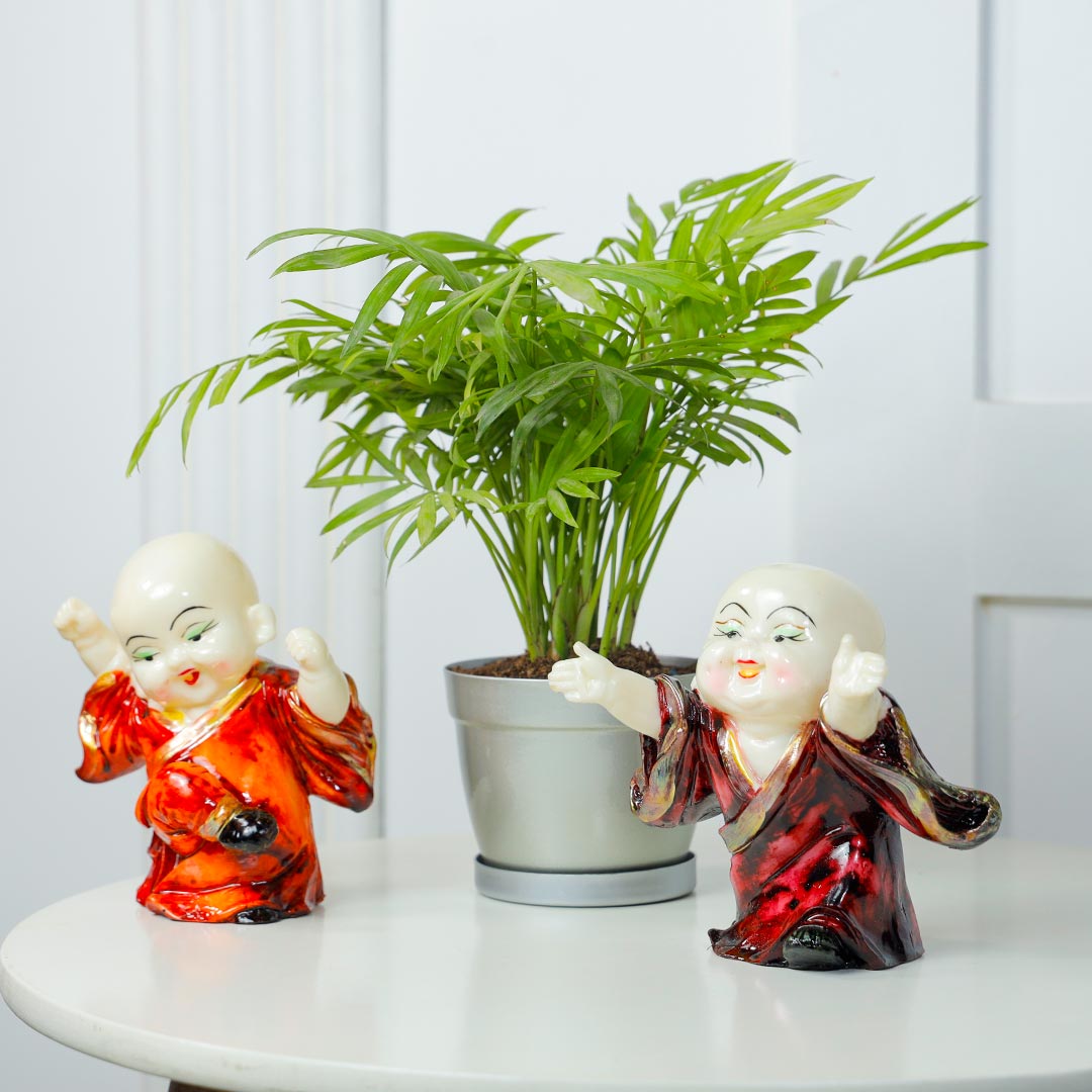 Happy Duo Laughing Buddha And Chamendora Plant