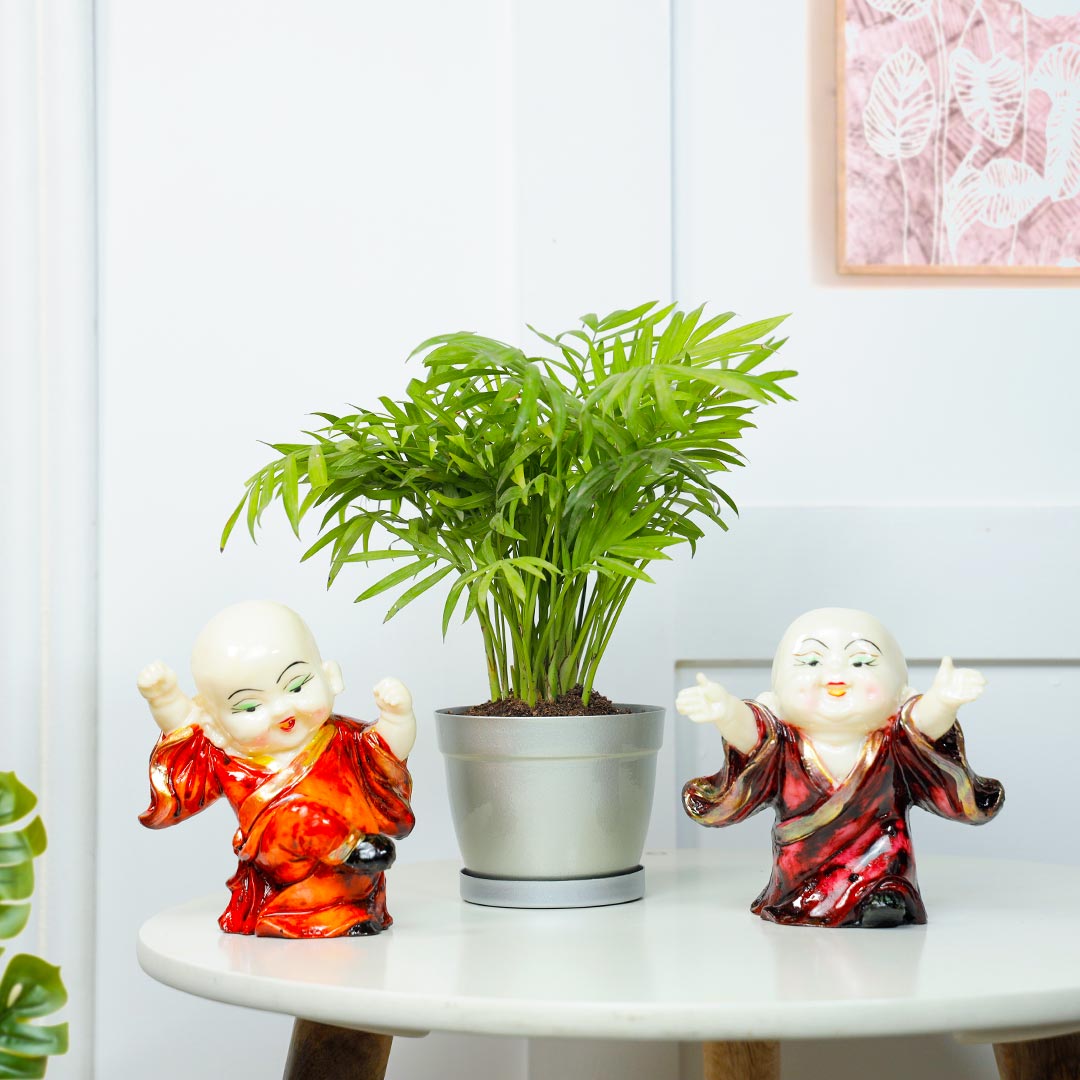 Happy Duo Laughing Buddha And Chamendora Plant