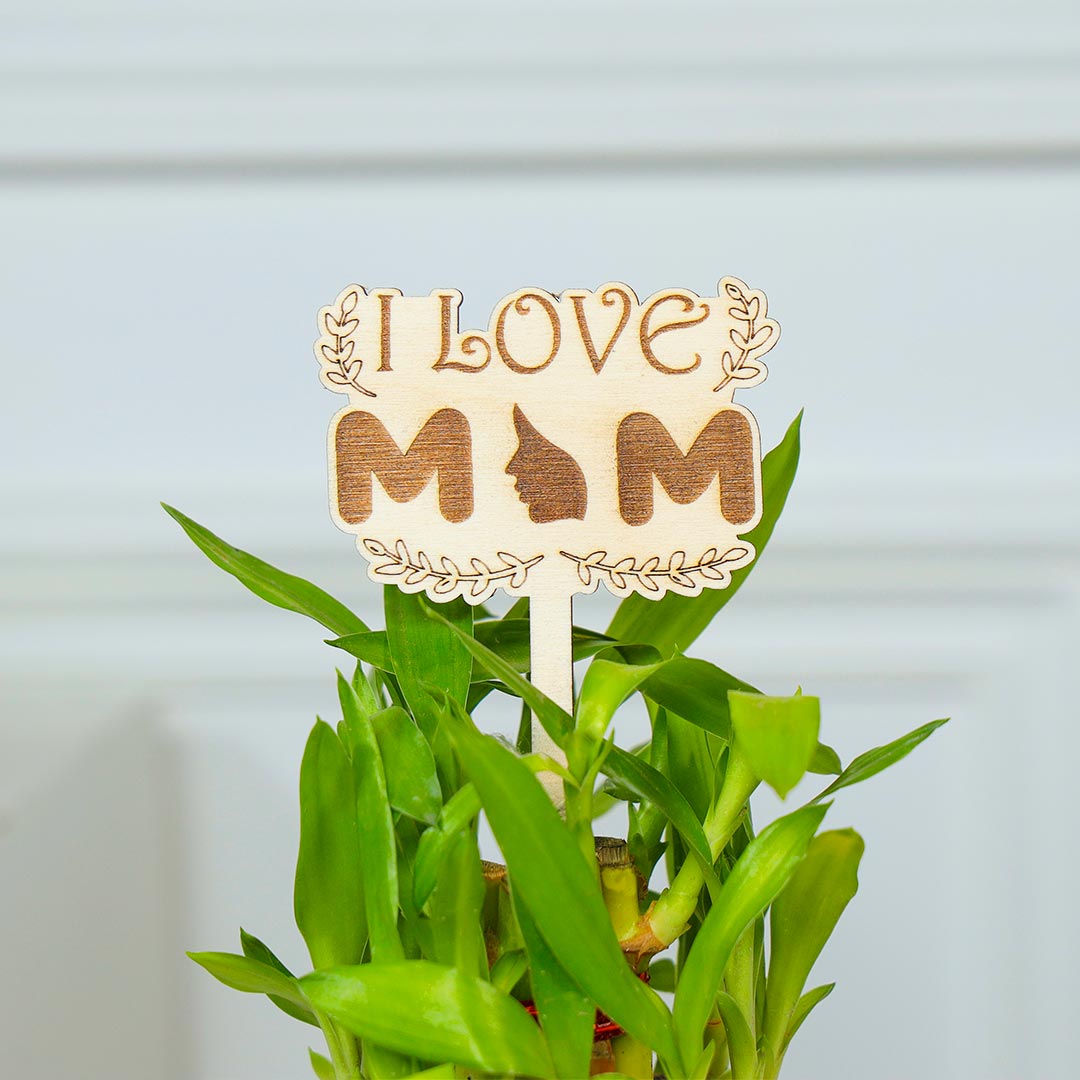 Heart Stand Of Pot With Lucky Bamboo For Mom