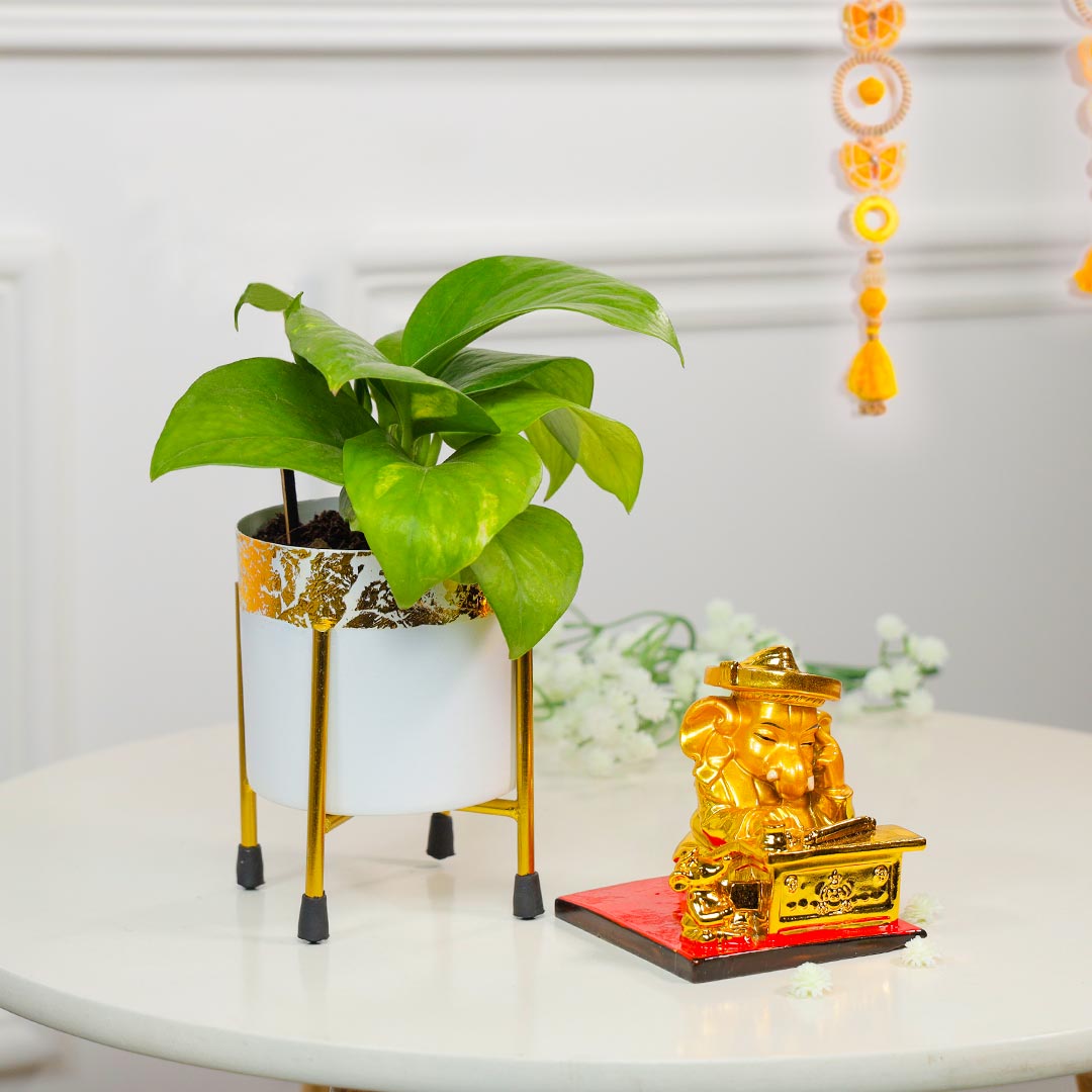 Lucky Charm Duo Of Ganesha And Money Plant