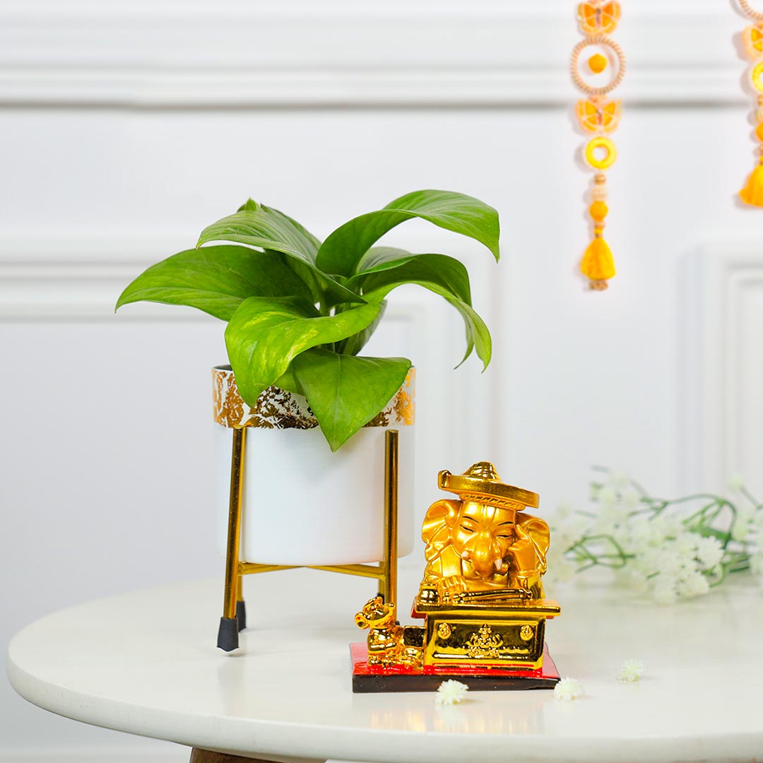 Lucky Charm Duo Of Ganesha And Money Plant
