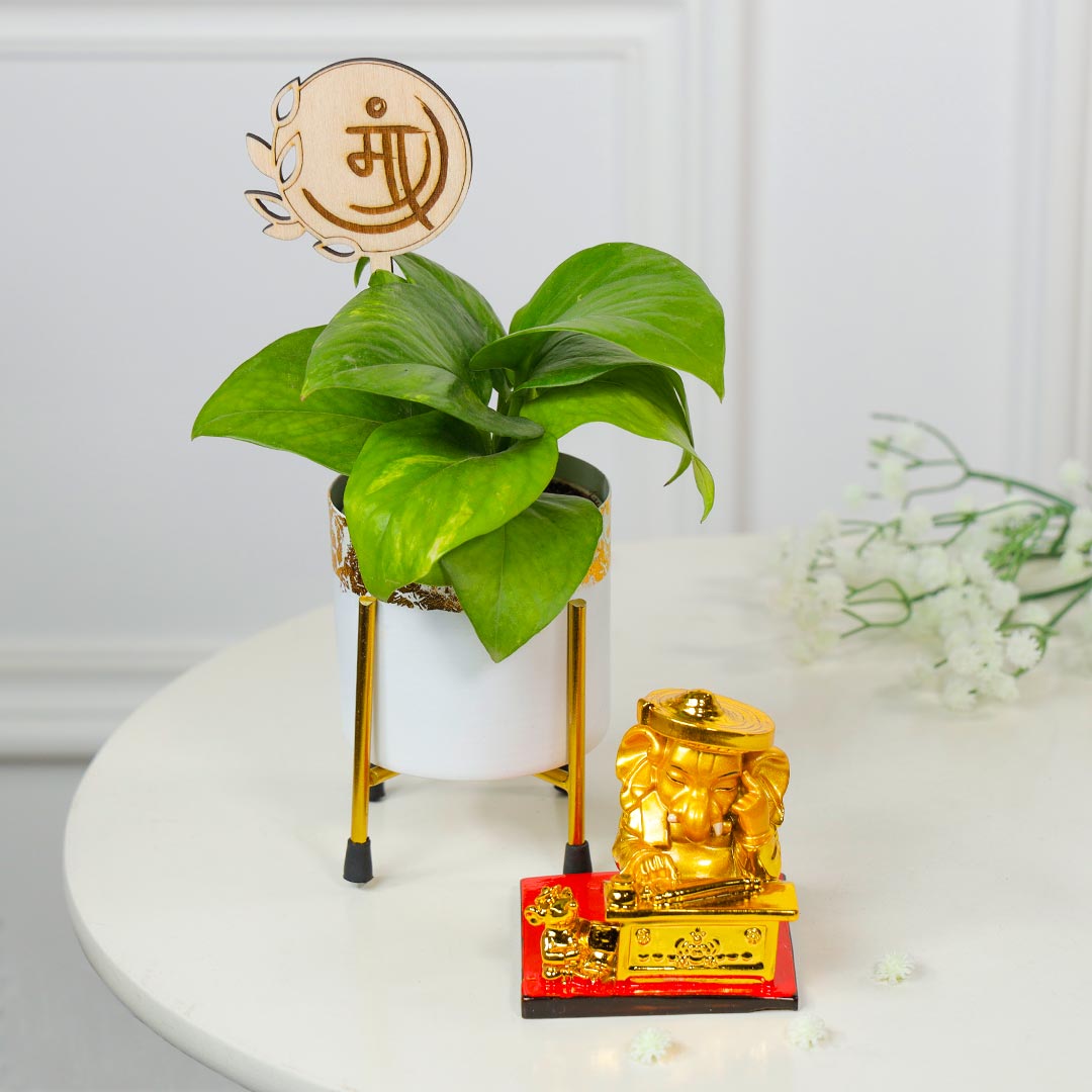 Lucky Charm For Mom Ganesha And Money Plant