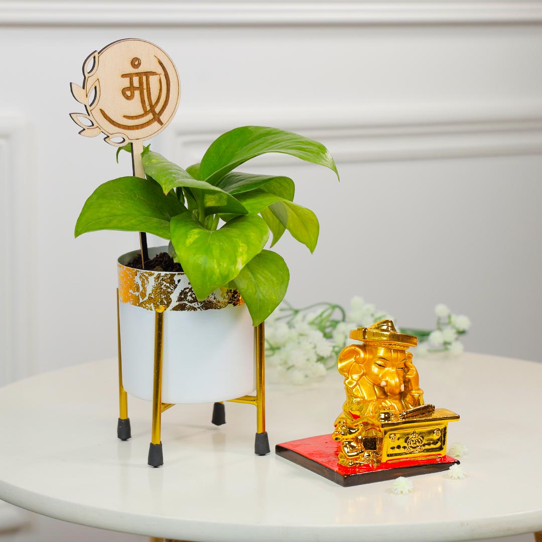 Lucky Charm For Mom Ganesha And Money Plant