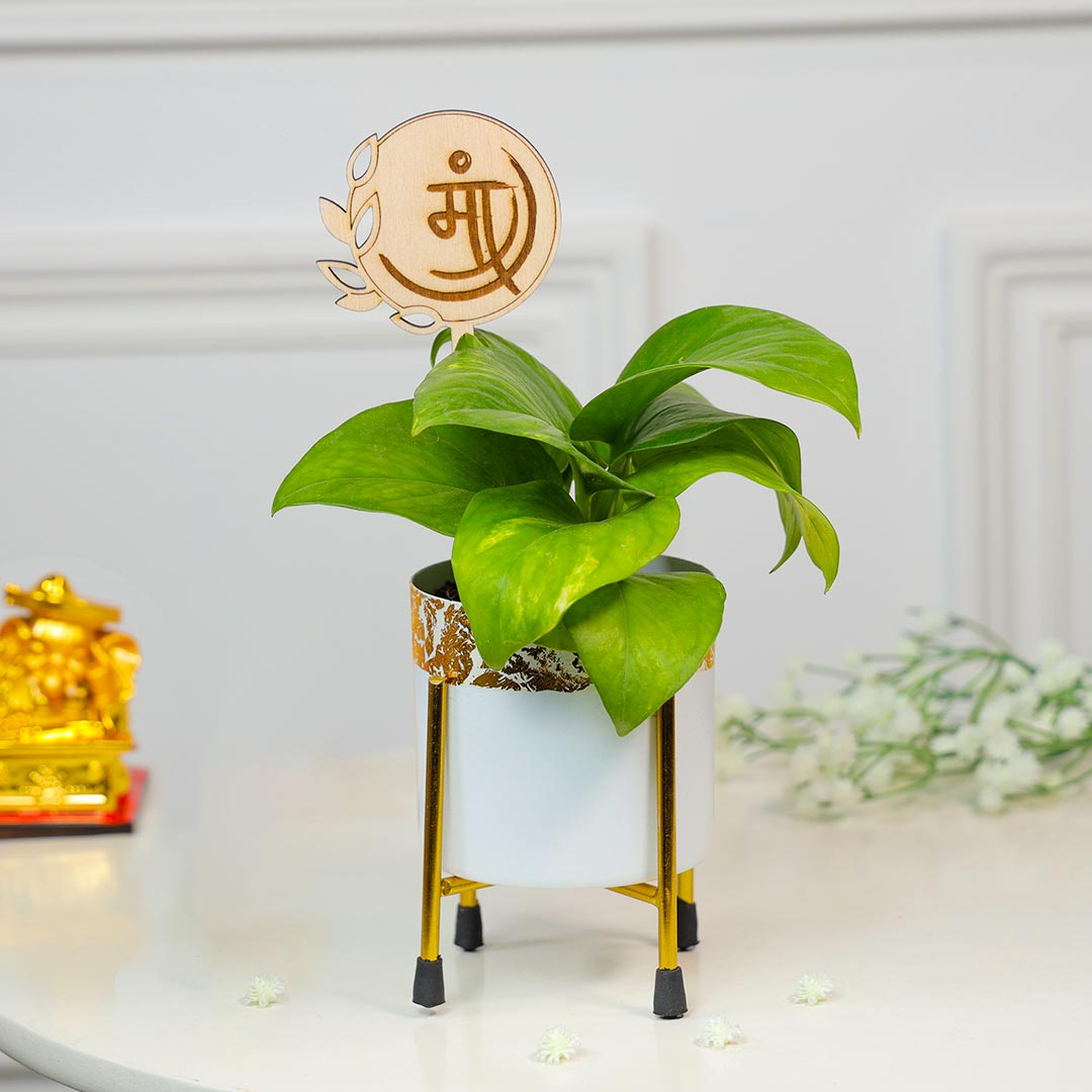 Lucky Charm For Mom Ganesha And Money Plant