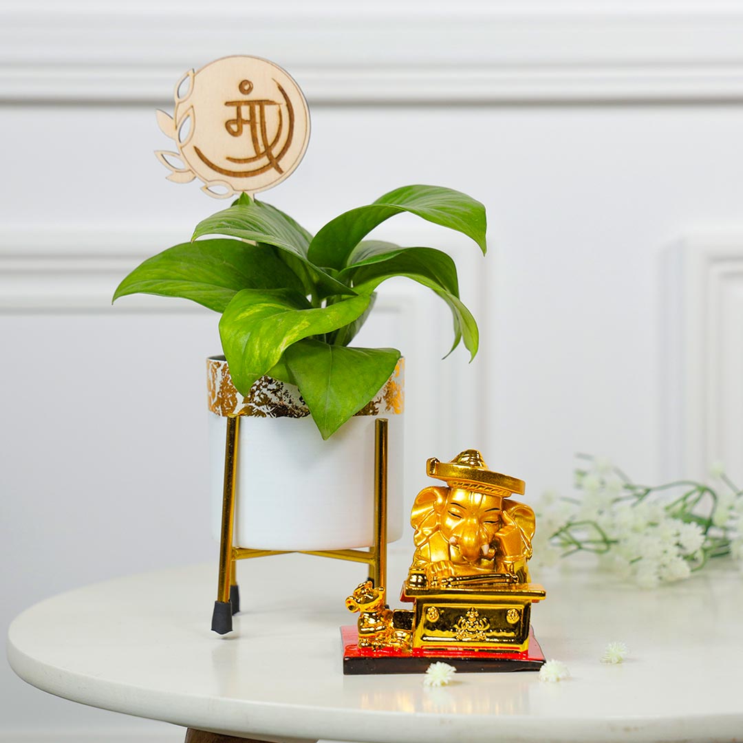 Lucky Charm For Mom Ganesha And Money Plant