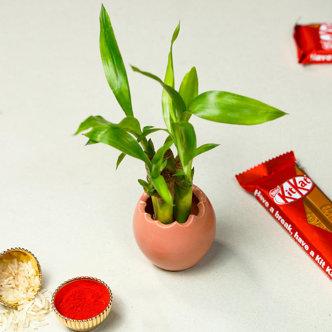 Om Rakhi With Lucky Bamboo & Kitkat