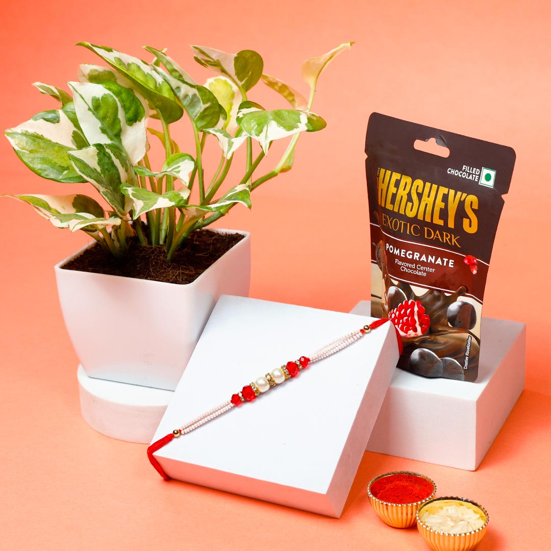 Pearl Rakhi With Money Plant & Hershey's