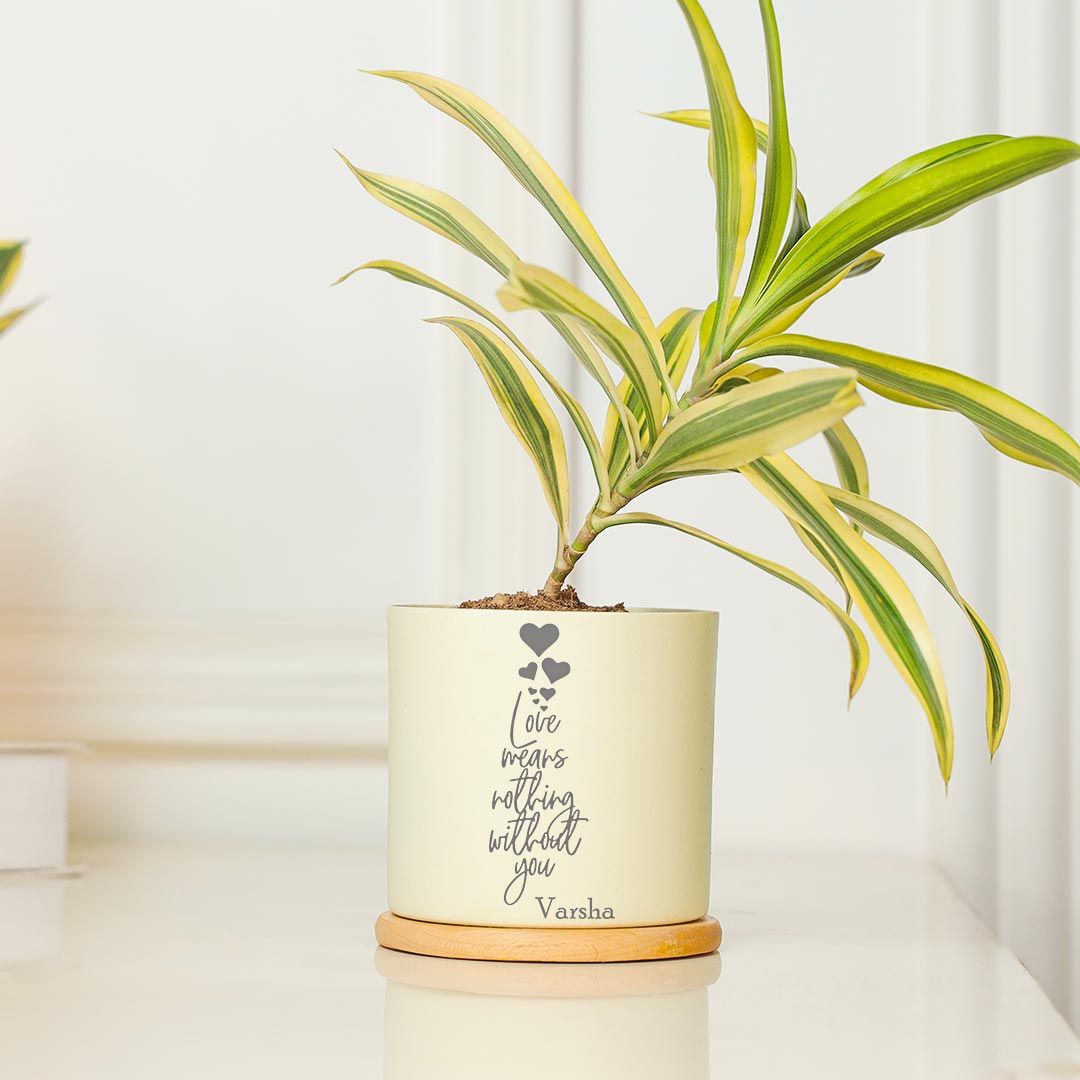 Personalized Amazing Combo Of 2 Air Purifying Plant For Love