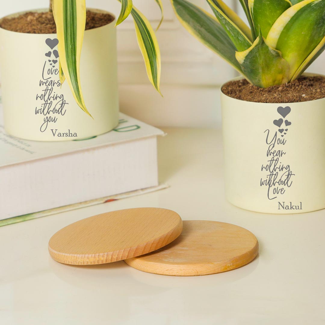 Personalized Amazing Combo Of 2 Air Purifying Plant For Love