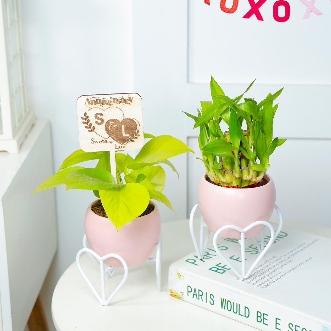 Personalized Anniversary Charming Duo Plants