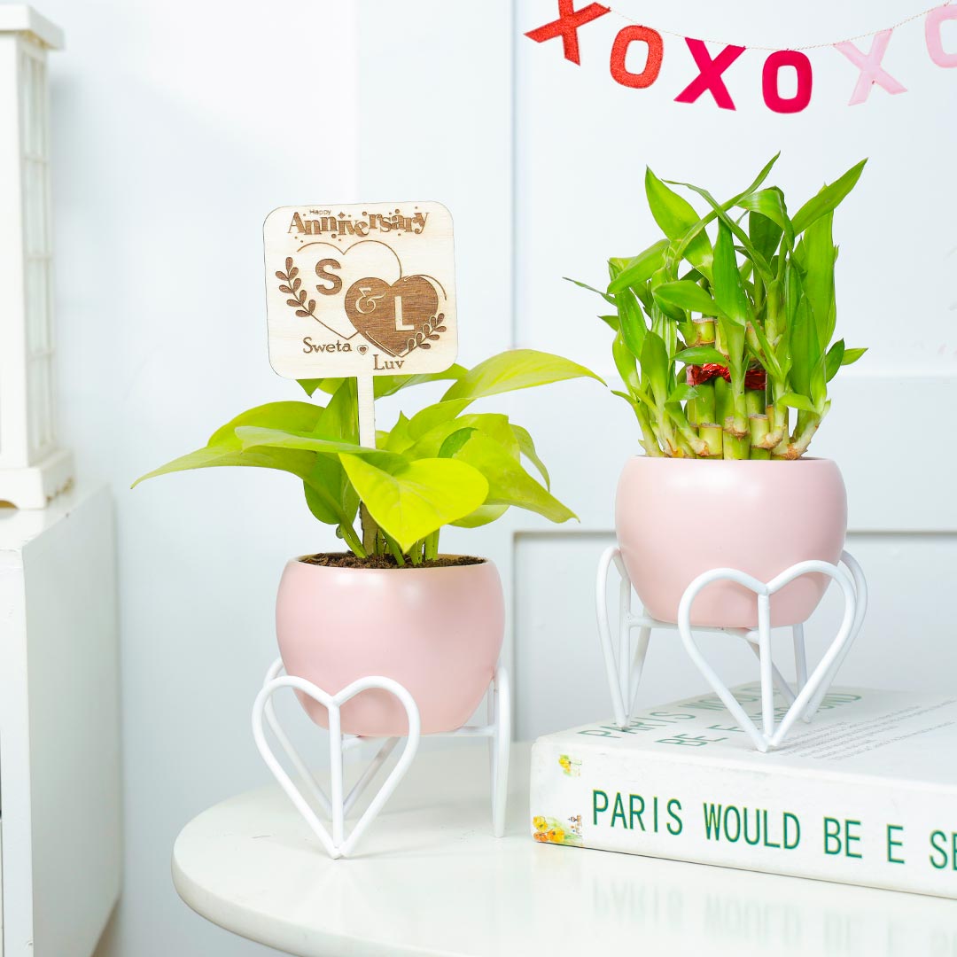 Send Personalized Anniversary Charming Duo Plants