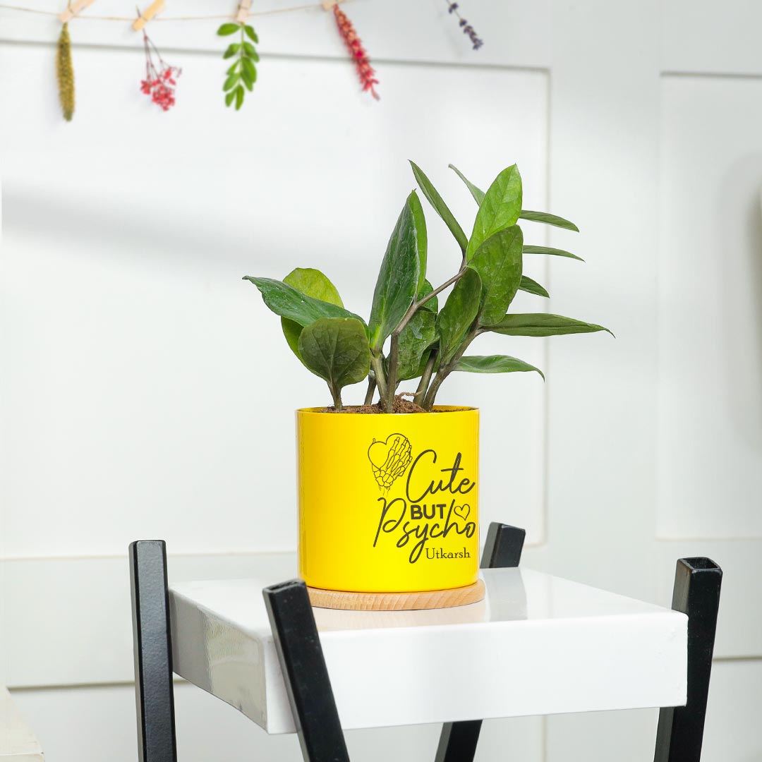 Personalized Cute Psycho - ZZ Plant in Yellow Pot