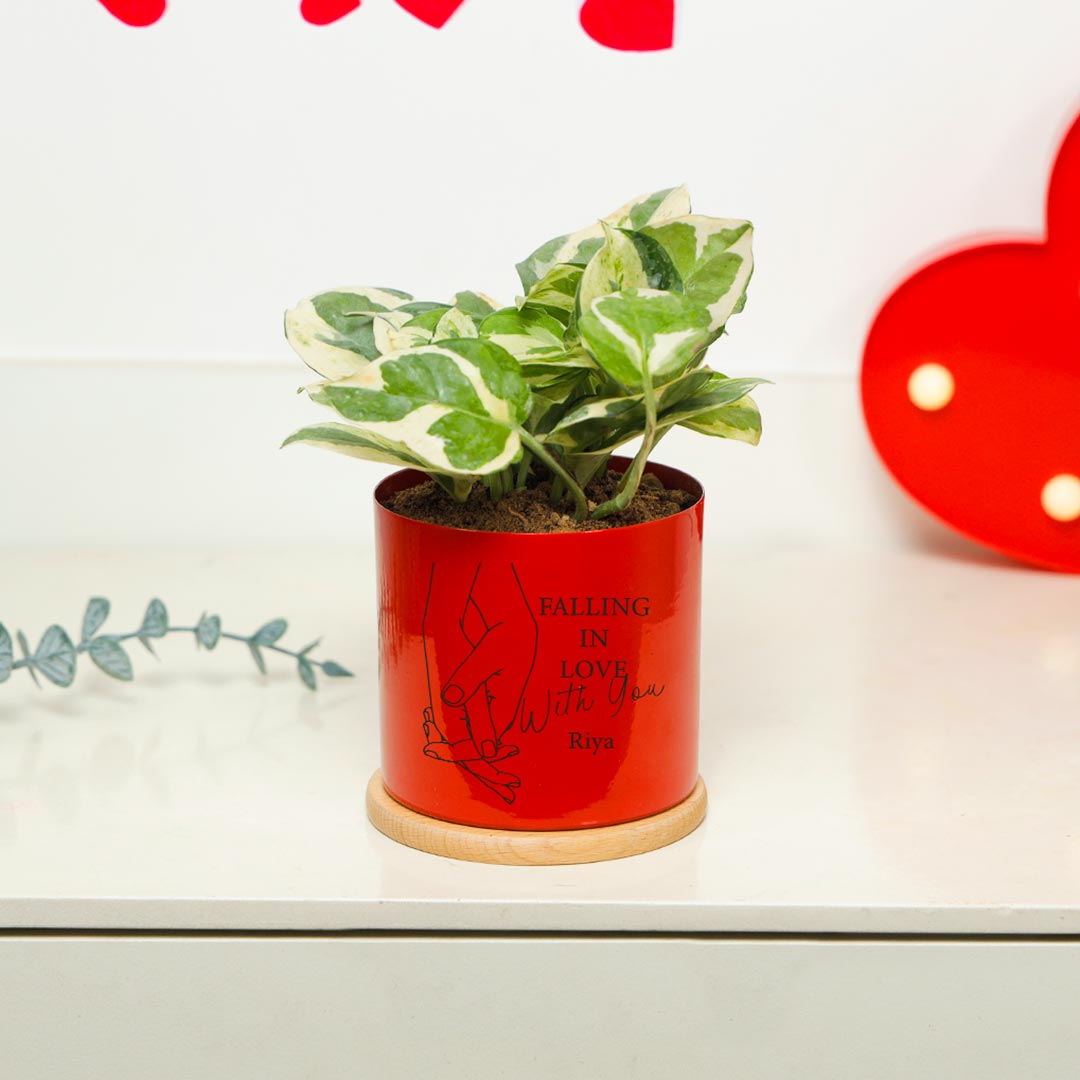 Personalized Falling In Love With You - White Phothos Plant In Red Pot