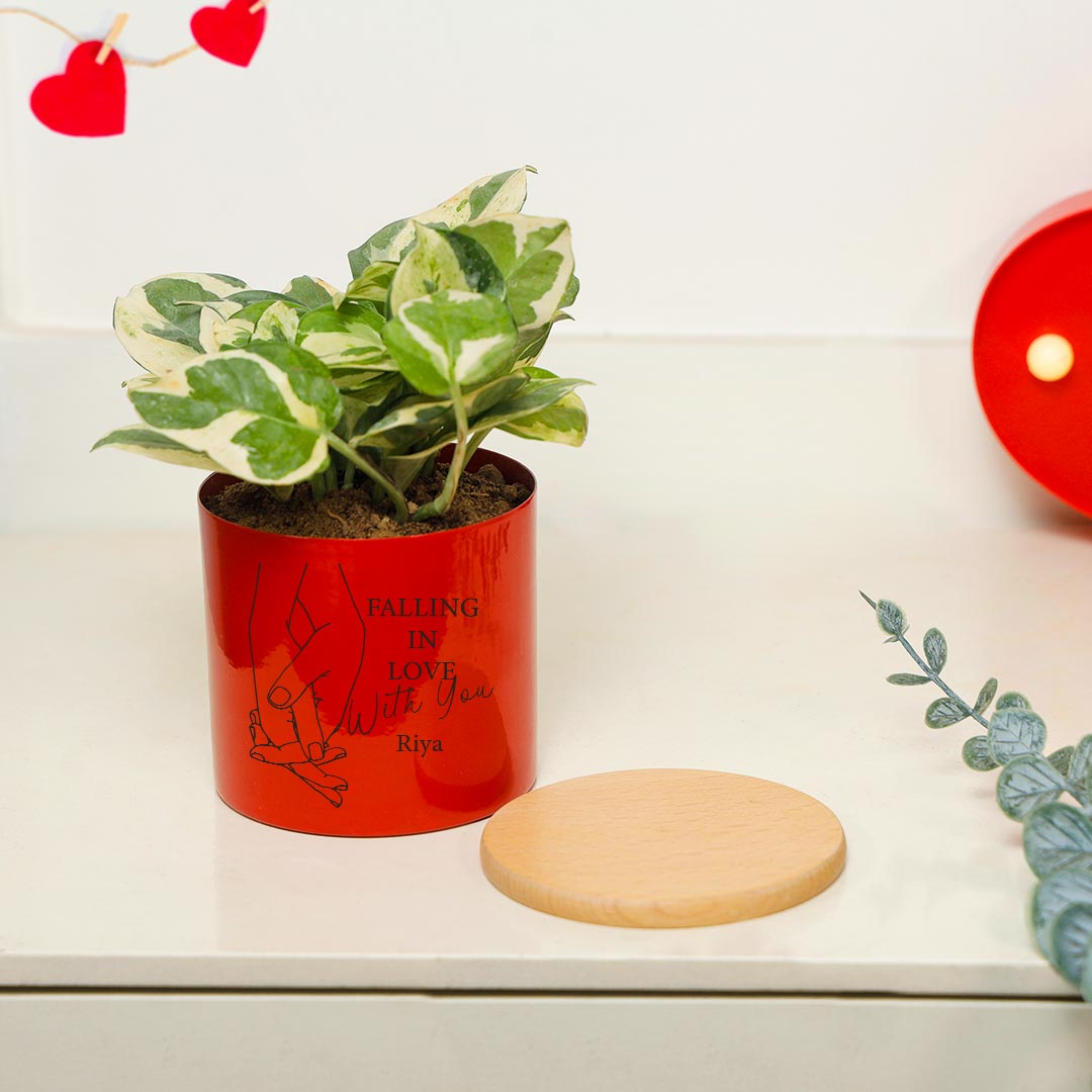 Personalized Falling In Love With You - White Phothos Plant In Red Pot