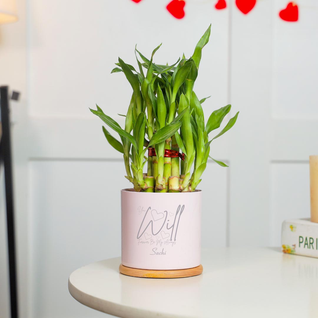 Personalized Forever Be Mine - Lucky Bamboo with Couple Showpeice