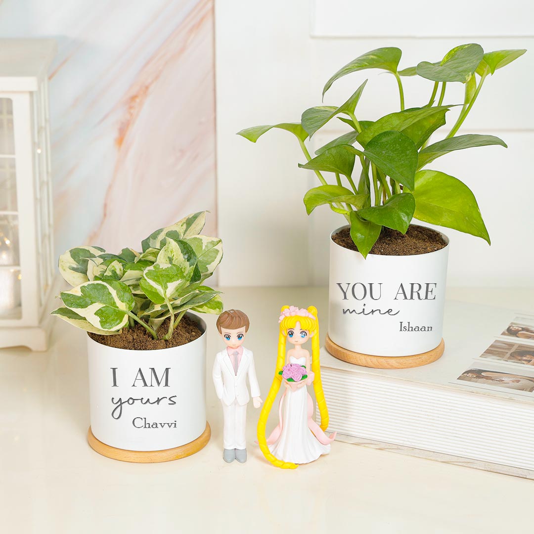 Personalized I am Yours & You Are Mine - Money Plant Combo With Showpeice