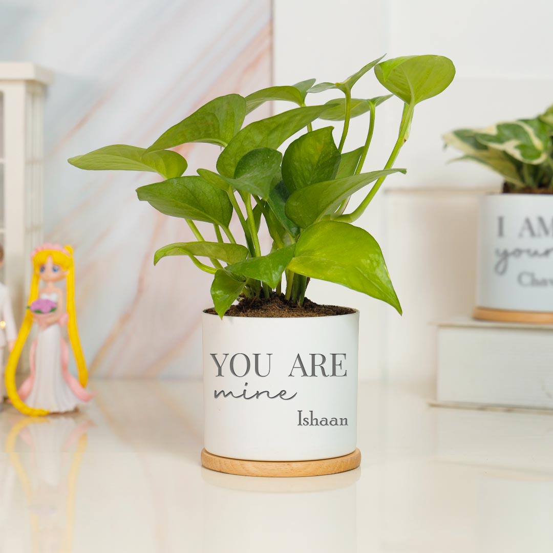 Personalized I am Yours & You Are Mine - Money Plant Combo With Showpeice