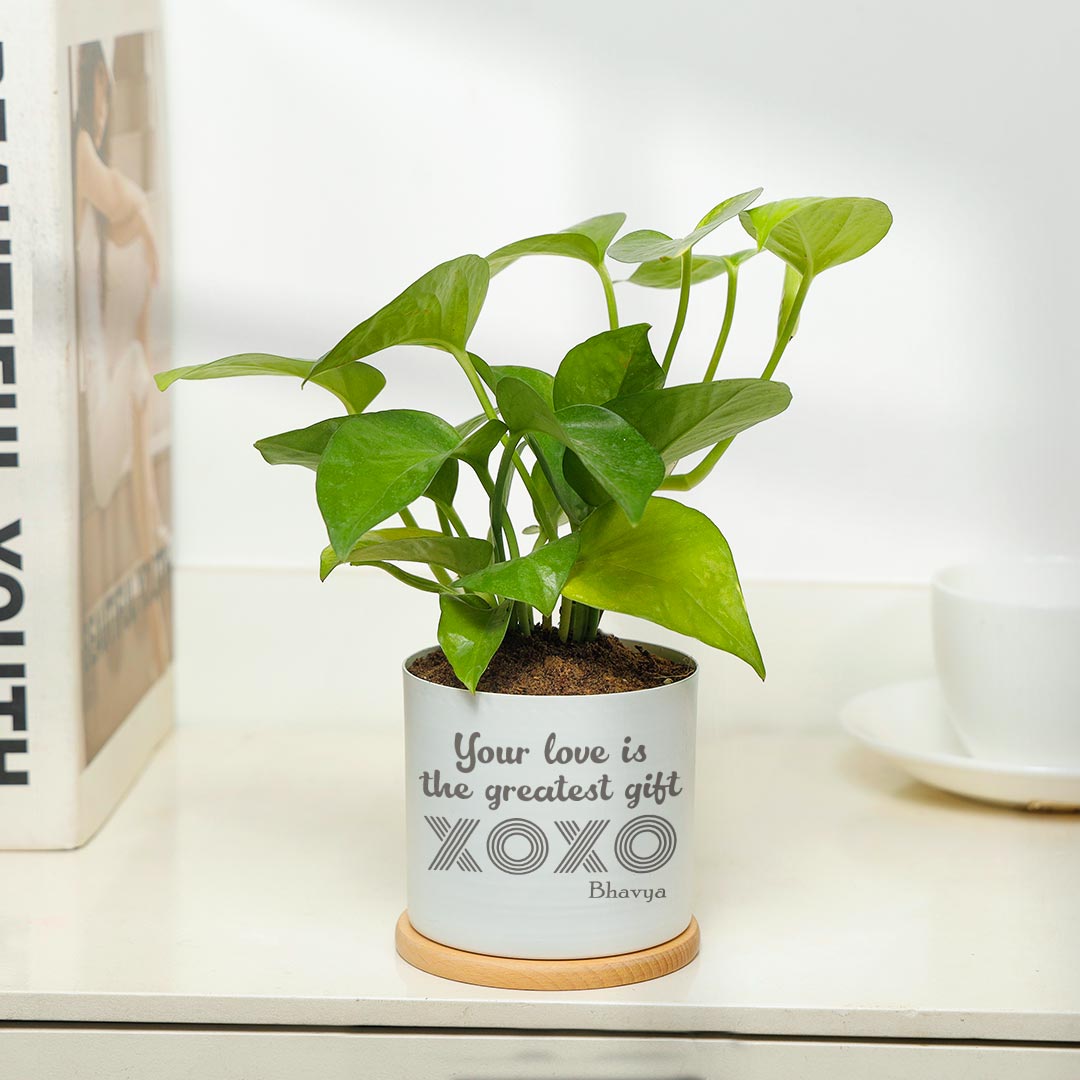 Personalized Love Is Greatest Gift - Money Plant in White pot