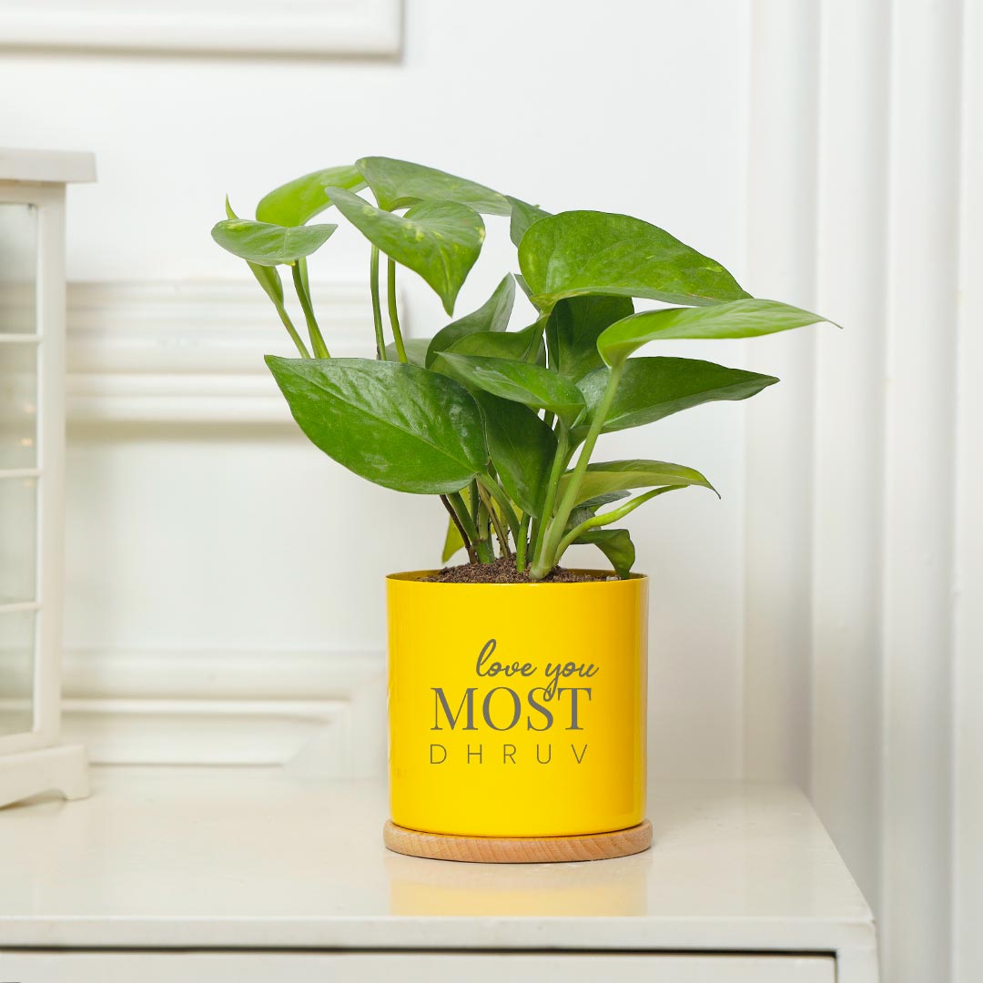 Personalized Love You More N Most Couple - Lucky Bamboo N Money Plant Combo