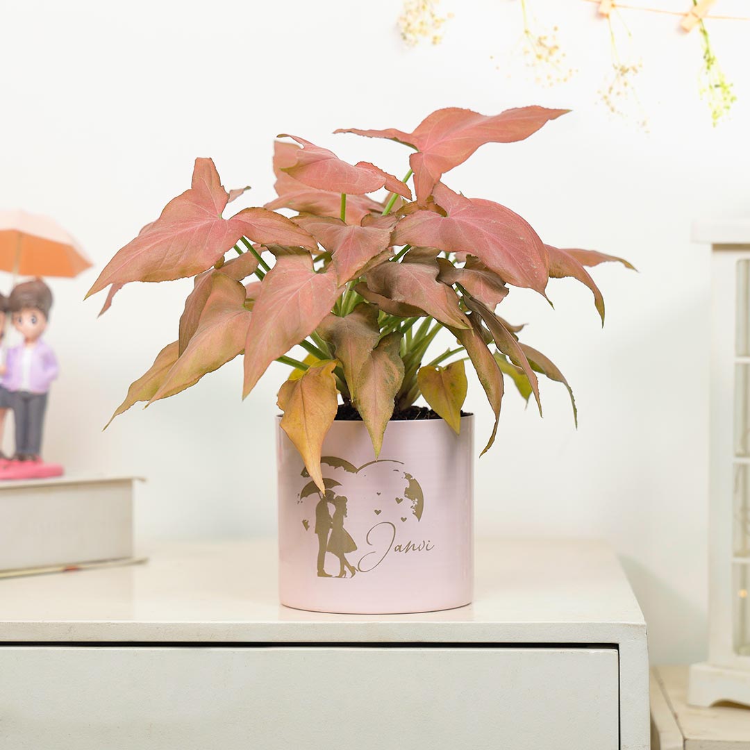 Personalized Lovely Pink Syngonium Plant N Cute Umbrella Couple