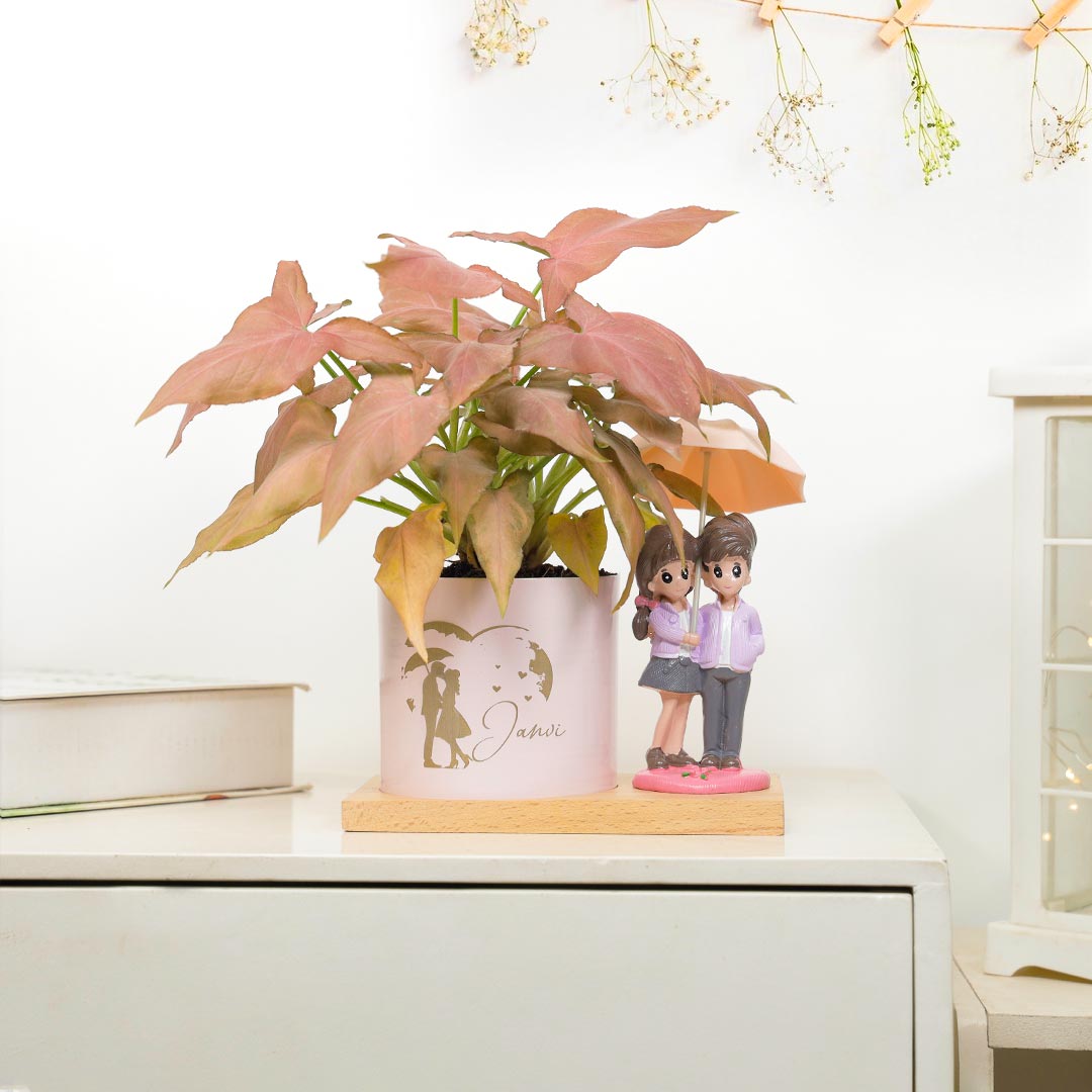 Personalized Lovely Pink Syngonium Plant N Cute Umbrella Couple Buy Online