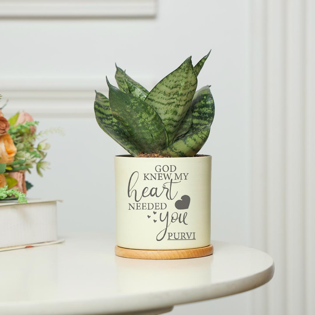 Personalized My Heart Needed You - Sansevieria Plant With Cpl Showpeice