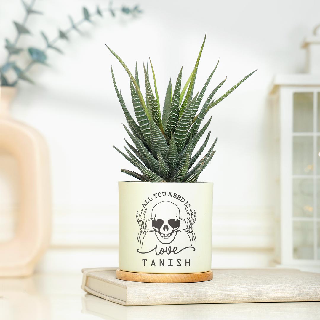 https://www.unrealgift.com/Personalized Need Love - Attractive Haworthia Plant