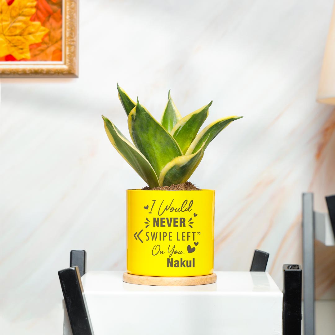 https://www.unrealgift.com/Personalized Never Swipe Left You - Lotus Sansevieria Snake plant