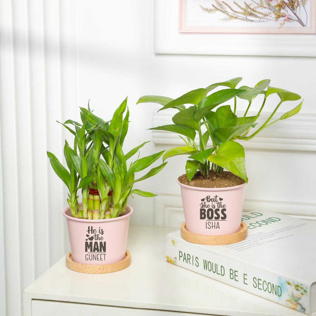 Personalized Premium Combo Of 2 Green Luck Plant For Couple