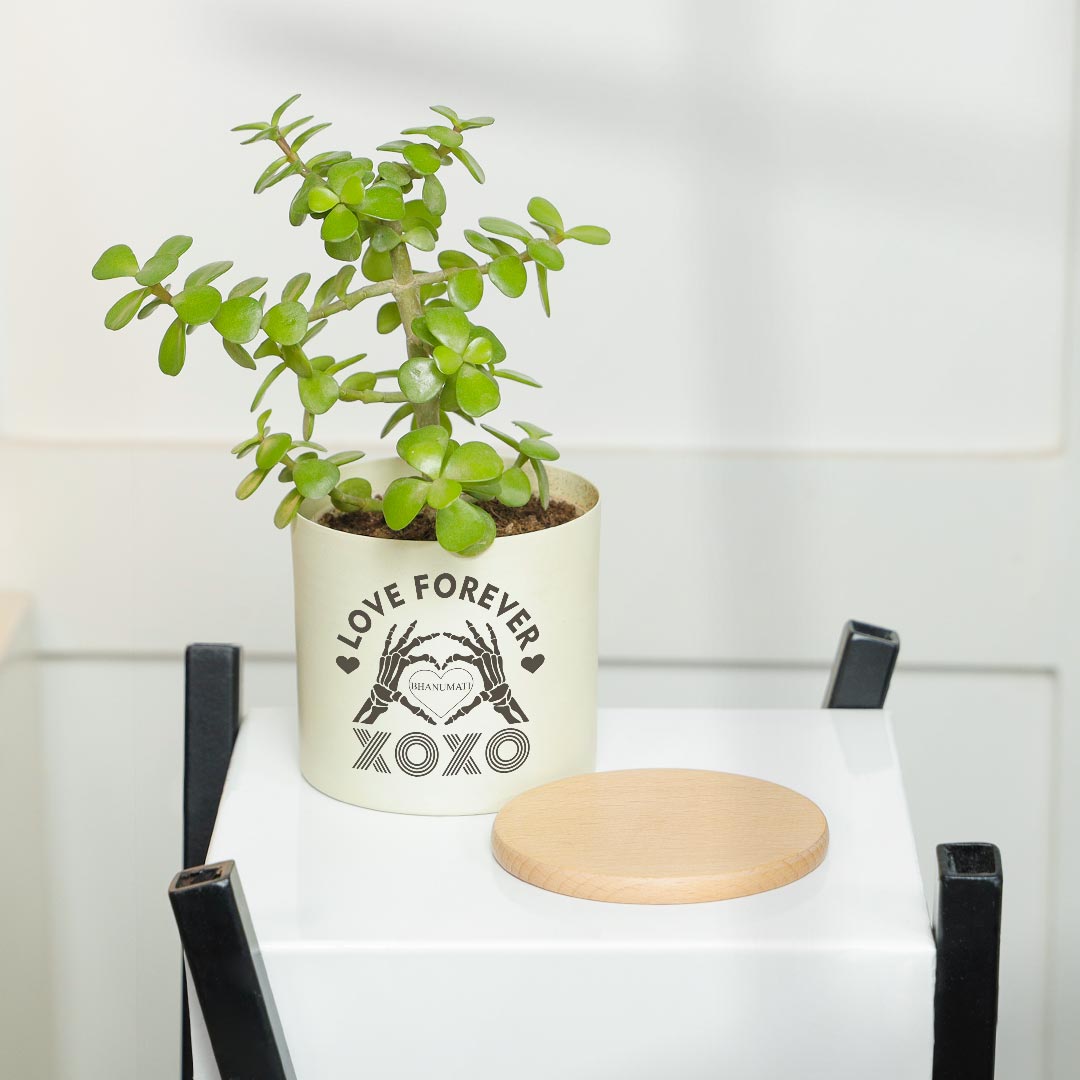 Personalized XOXO Love Forever - Evergreen jade Plant