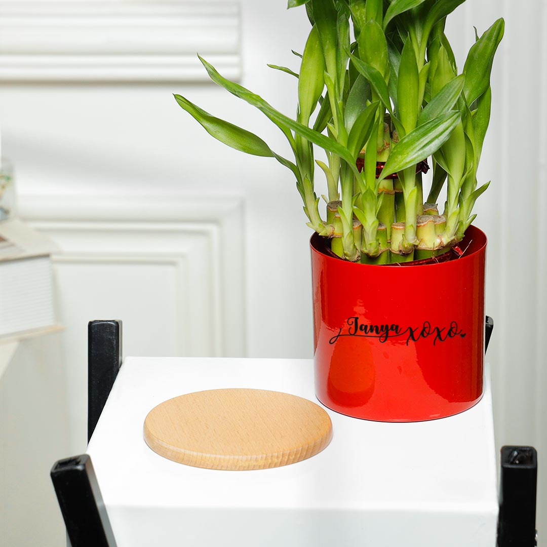 Personalized XOXO Love Lucky Bamboo In Red Planter